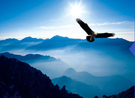 德赢·(VWIN)官方网站-AC米兰官方相助同伴