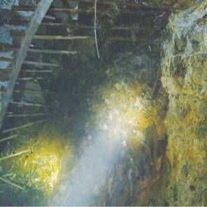 德赢·(VWIN)官方网站-AC米兰官方相助同伴